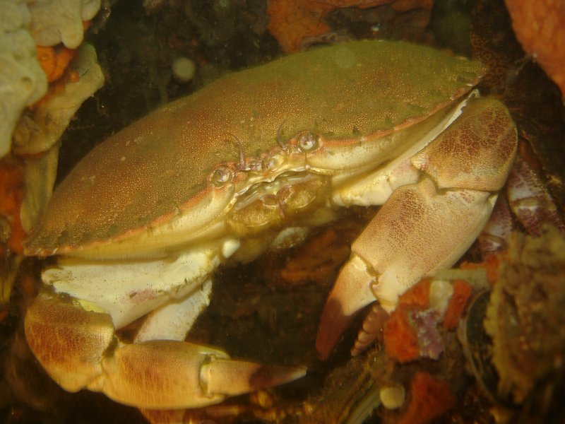 2014-07-20 09-33-38.JPG